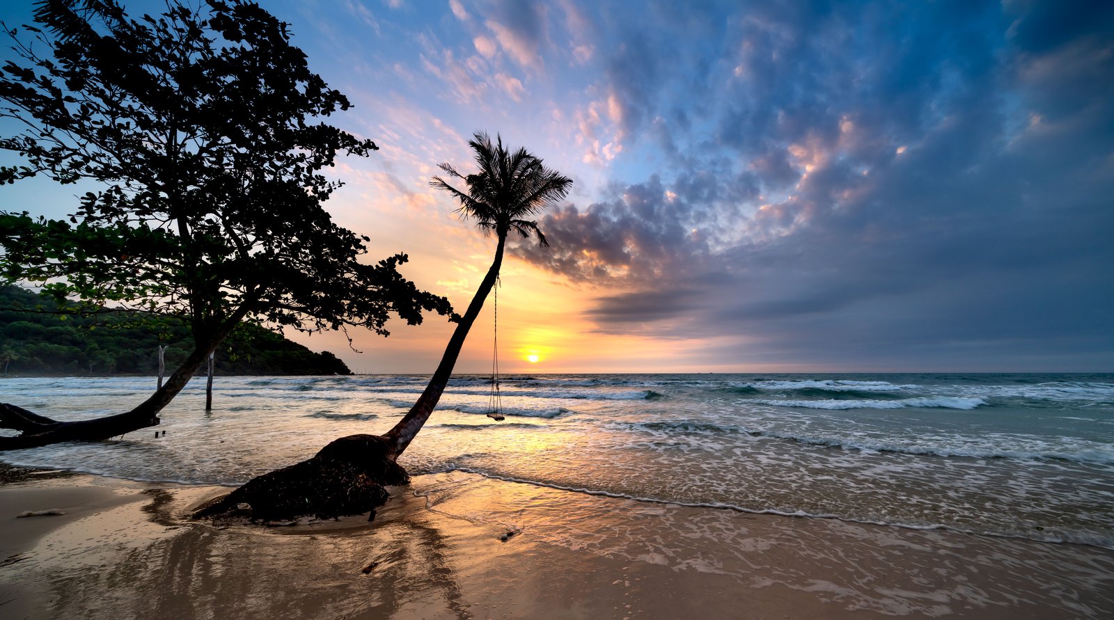 Atardecer en una playa de Koh Chang con una palmera inclinada sobre el mar.